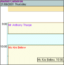Diary-Style Appointments - click for full size image