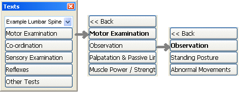Clinical Notes Texts