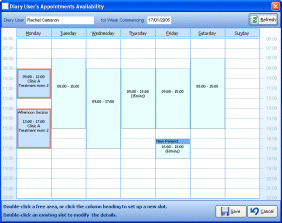 Diary Set Up - click for full size image